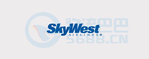 美国天西航空公司logo